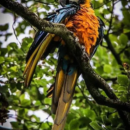 La'l Stenkrith Apartmán Kirkby Stephen