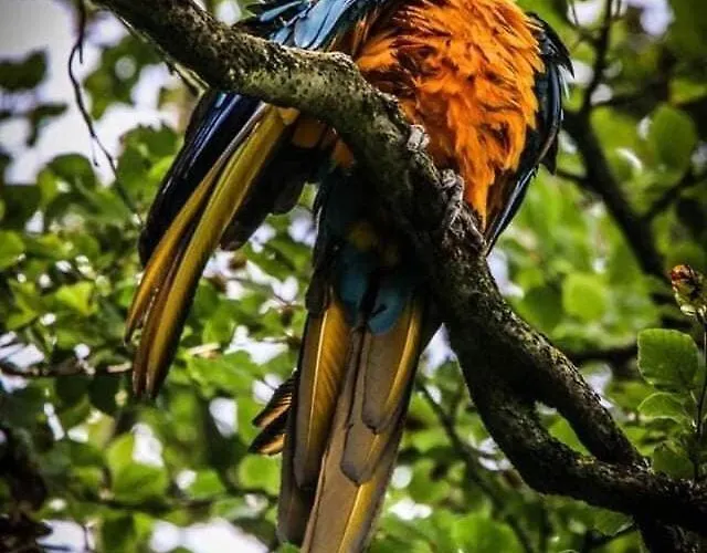 La'l Stenkrith Lejlighed Kirkby Stephen