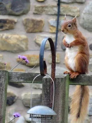 Lejlighed La'l Stenkrith Kirkby Stephen