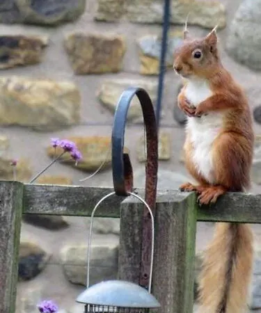 Apartment La'l Stenkrith Kirkby Stephen